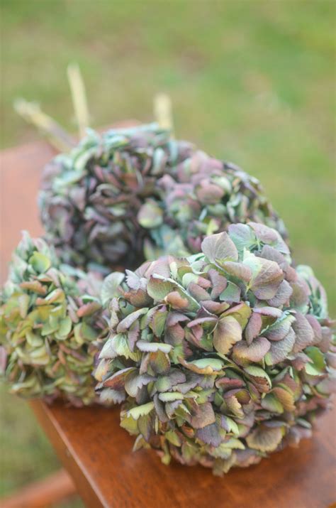 Some of the technologies we use are necessary for critical functions like security and site integrity, account authentication, security and privacy preferences, internal site usage and maintenance data, and to make the site work correctly for browsing and transactions. Dried Blue Hydrangea | The Blaithin Blair Shop