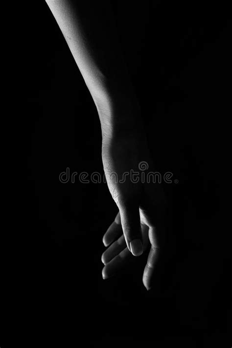 Black And White Hands Art Photography Stock Image Image Of Closeup