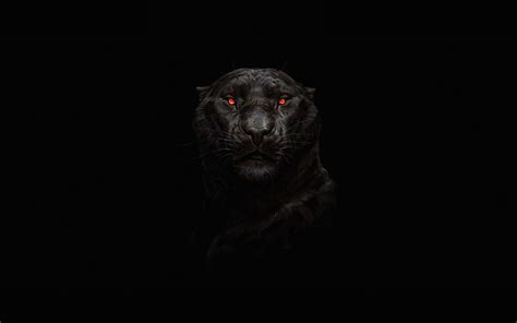 Download Wallpapers Black Panther 4k Predators Minimal Black