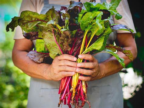 Welcome to our newly redesigned food city application! Sustainable Food Production in Waterbury, CT | The Waterbury