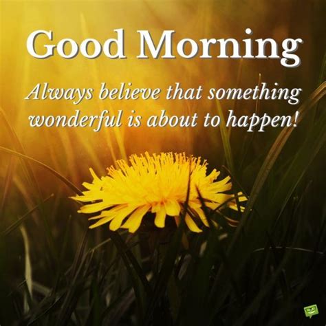 Good Morning Something Wonderful Will Happen Pictures Photos And