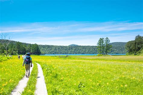 びゅうトラベル公式（旧jr東日本国内ツアー） On Twitter 🌿美しい尾瀬で癒しハイキング🚶／ 例年5月中旬から10月中旬は尾瀬