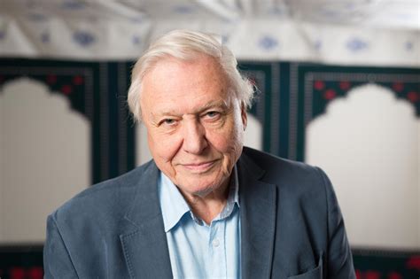 Sir David Attenborough On His Tears Over ‘grieving Elephants