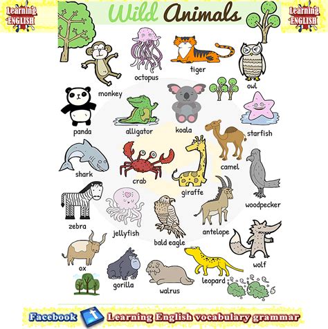 List Of Water Animals Names With Pictures Idalias Salon