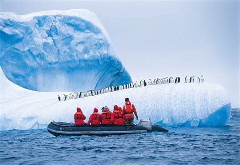 Lindblad Expeditions National Geographic Guests Pass A Colony Of