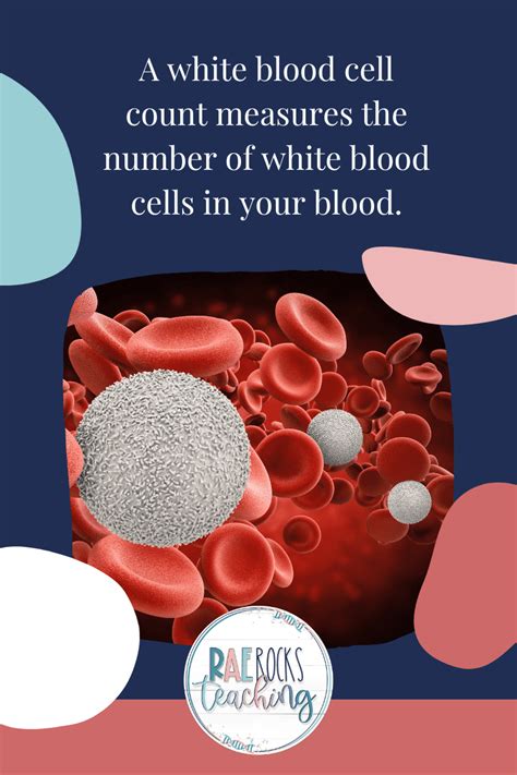 Abnormal White Blood Cell Levels