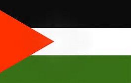 Image result for palestinian flag images