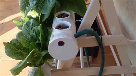 Hydroponics For Beginners Youtube