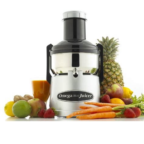 Shop Omega 350 Watt Stainless Steel Juicer Free Shipping Today