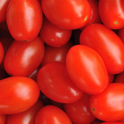 Pick Of The Week Grape Tomatoes Harris Farm Markets