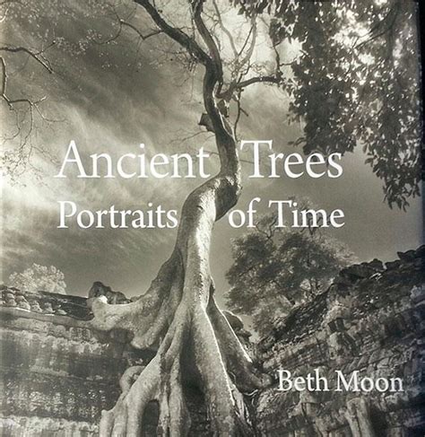 Beth Moons New Photo Book Is An Astonishing Visual Homage To The