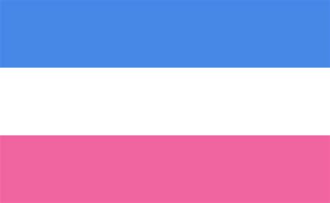 Flags nowadays seem to be about showing pride in who you are, so i can only imagine that a heterosexual flag would have the purpose of showing pride in being heterosexual. Heterosexual pride flag. Isn't it cute? : vexillology