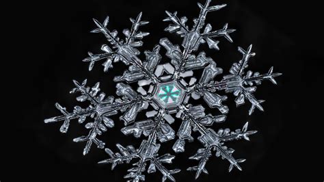Snowflake Bing Wallpaper Download