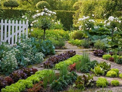 Most Beautiful Vegetable Gardens 17 Decorewarding Vegetable Garden