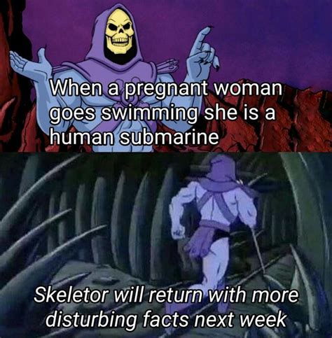 15 Interesting And Disturbing Skeletor Facts Know Your Meme