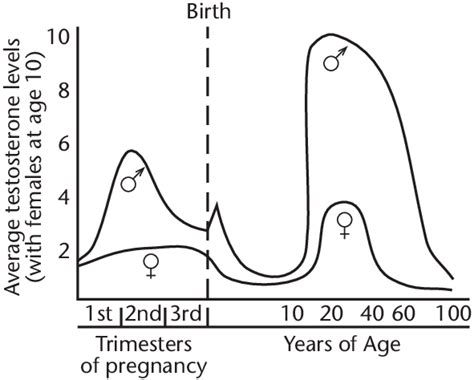 Testosterone Levels In Human Males And Females From Conception Through