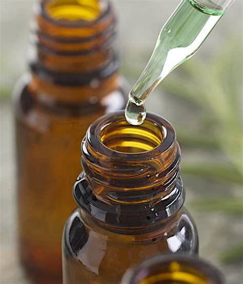 However, an overdose of tea tree oil could be lethal to a cat. Essential Oils For Survival - 80 Tea Tree Oil Uses ...