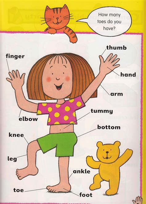 Match words and pictures (matching exercise) and write the wo. ENGLISH 1 AND 2: MY BODY (1st Year)