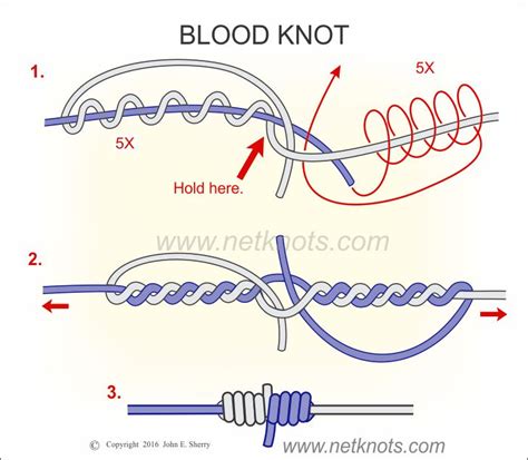 Blood Knot How To Tie A Blood Knot Fishing Knots