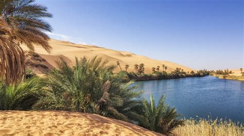 Umm El Ma Mother Of The Water Oasis Lake In Fezzan Awbari Ubari