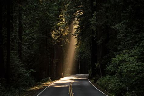 Forest Road Wallpapers Top Free Forest Road Backgrounds Wallpaperaccess