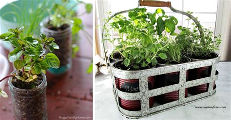 15 Fabulous Diy Herb Garden Ideas That Are Perfect For Beginners