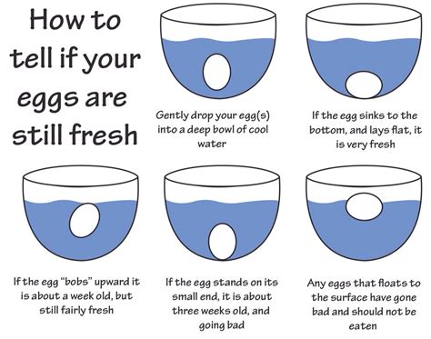How To Tell If Your Eggs Are Still Fresh 🍳 Trusper