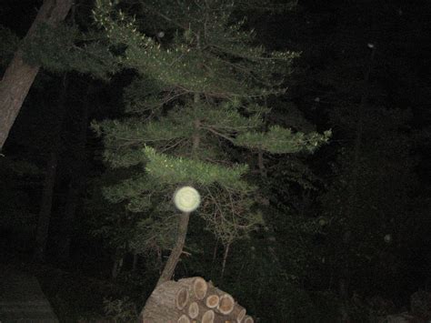 http://planetdove.wordpress.com/ #spirit #orbs #spiritorbs #paranormal