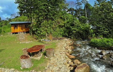 Rooms available at serene resort & training centre, janda baik. Resort Cantik Tepi Sungai Dan Berlatar Belakang Gunung Di ...