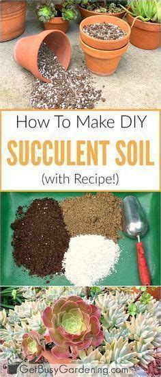 If not available, you can utilize a mixture of 66% standard fertilized soil and. How To Make Your Own Succulent Soil (With Recipe!) | Best ...