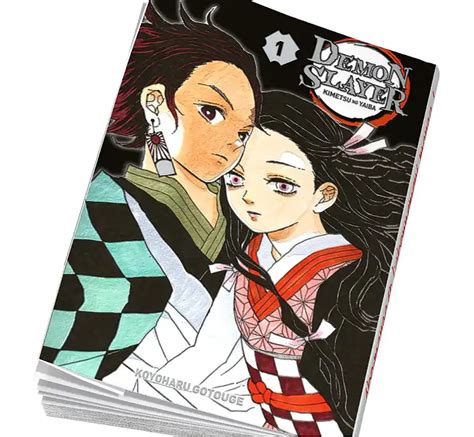 Mise à Jour 61 Imagen Demon Slayer Manga Collector Frthptnganamst