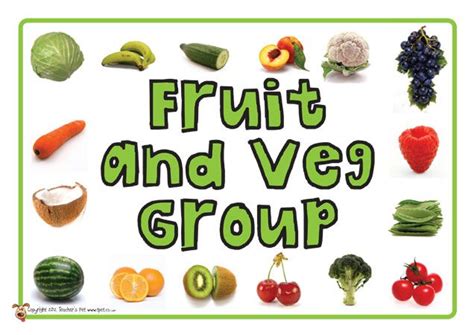 Teachers Pet Food Group Posters Free Classroom Display Resource