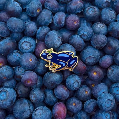 Blueberry Fruit Frog Enamel Pin Adorable Tiny Frog Pin Etsy