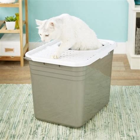 5 Best Dog Proof Litter Boxes How To Keep Dogs Away From Cat Poop
