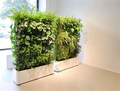 Movable Indoor Green Wall Design Using Plants As Room Divider Flower