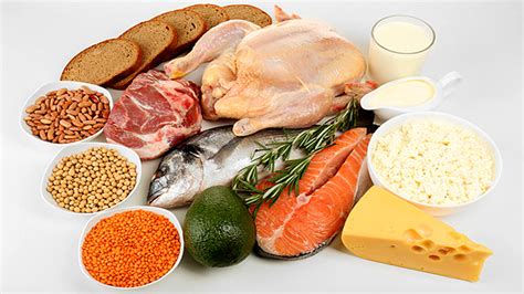 Tip Eat More Protein To Lose Fat
