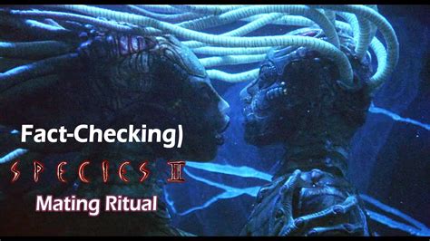 Fact Checking Species Ii 1998 Mating Ritual Youtube