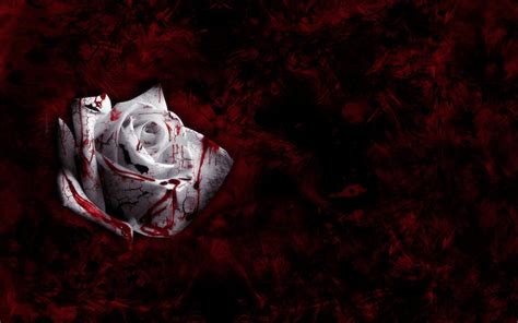 Bloody Rose Wallpapers Wallpaper Cave