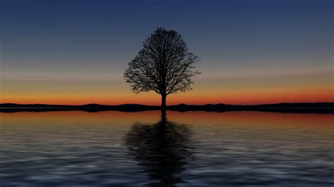 Download Wallpaper 3840x2160 Tree Lonely Horizon Reflection Sunset