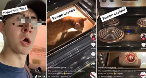 Racist Tik Tok Video Sparks Outrage For Putting Cat In Oven To Make