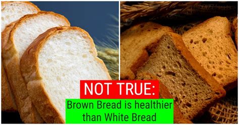 Which One Is Healthier Brown Bread Vs White Bread