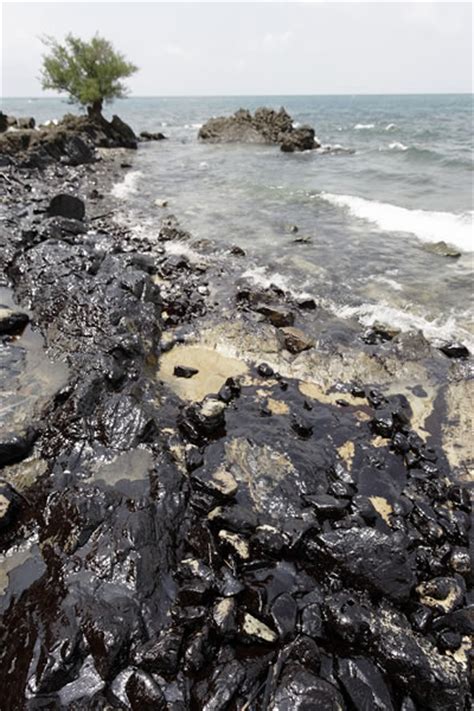 Large Oil Spill In The Philippines Threatens Marine Ecosystem Wwf