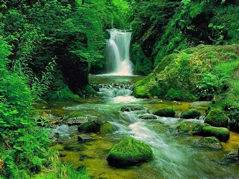 Waterfall Among Greenery Stream Fall Rocks Grass Falling Bonito