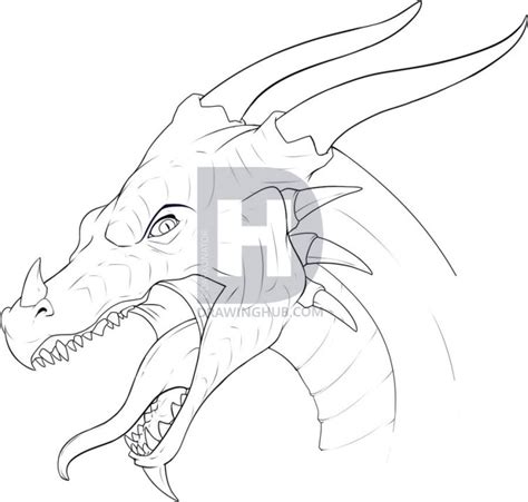 Dragon Head Drawing Step By Step At Explore