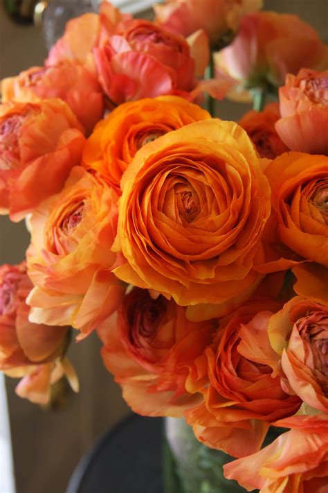 Coral orange flowers artificial ranunculus find faux flowers to give your floral designs bright pops of color, like this beautiful coral orange artificial ranunculus stem. Inspirational Ranunculus Flower - Beautiful Flower ...