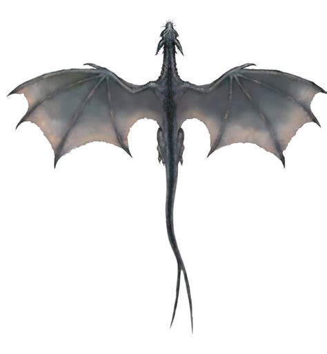 Download Flying Dragon Transparent Hq Png Image Freepngimg