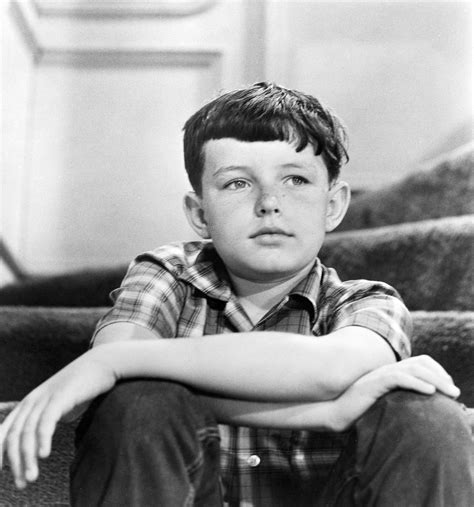 Leave It To Beaver Star Jerry Mathers Cleared Up The Rumor About This