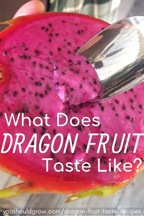 Does dragon fruit have any downsides? Learn how to eat dragon fruit + 23 recipes! | Dragon fruit benefits, Food recipes, Food tasting