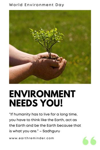 World Environment Day Posters Ideas With Slogans Earth Reminder