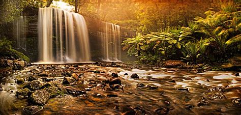 bosque cascada hermoso paisaje favorito imágenes de fondo gratuitas fondo hermosa cascada de